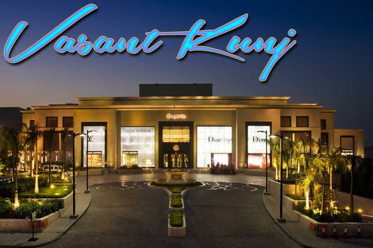  Vasant Kunj Escorts
